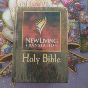 NT HOLY BIBLE